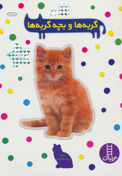 گربه ها و بچه گربه ها
